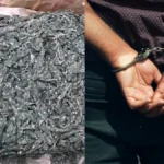 ट्रक में छिपाकर अयोध्या भेजा जा रहा था 170 किलो गांजा, NCB ने तस्कर को पकड़ा Politics & News