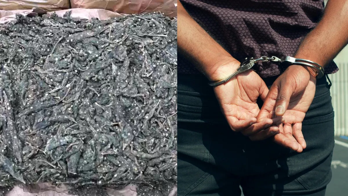 ट्रक में छिपाकर अयोध्या भेजा जा रहा था 170 किलो गांजा, NCB ने तस्कर को पकड़ा Politics & News