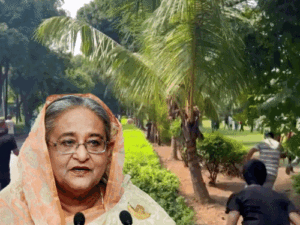 शेख हसीना ने 15 साल की सत्ता गंवाई, 3 वजहें:आरक्षण पर फैसला, प्रदर्शनकारियों को गद्दार कहा, बंगाल के कसाई से तुलना की...60 दिन की कहानी​​​​​​​