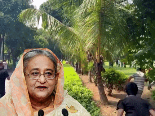 शेख हसीना ने 15 साल की सत्ता गंवाई, 3 वजहें:आरक्षण पर फैसला, प्रदर्शनकारियों को गद्दार कहा, बंगाल के कसाई से तुलना की…60 दिन की कहानी​​​​​​​ Today World News